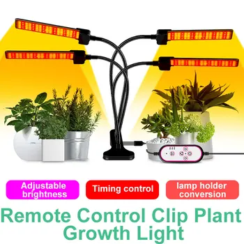 LED Cresce a Luz da Planta Luzes de Tira DC12V Phytolamp com o ambiente de Trabalho Clipe de Mudas de Plantas, Flores Suculenta Vegetal Home Grow Box