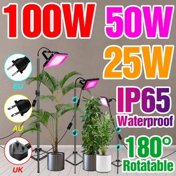 100W de potência de 50W Espectro Completo de LED Plantas de Luz Interior Cresce a Luz da Flor de Mudas de Hidroponia Phytolamp Para o Plantio, Cultivo Growbox